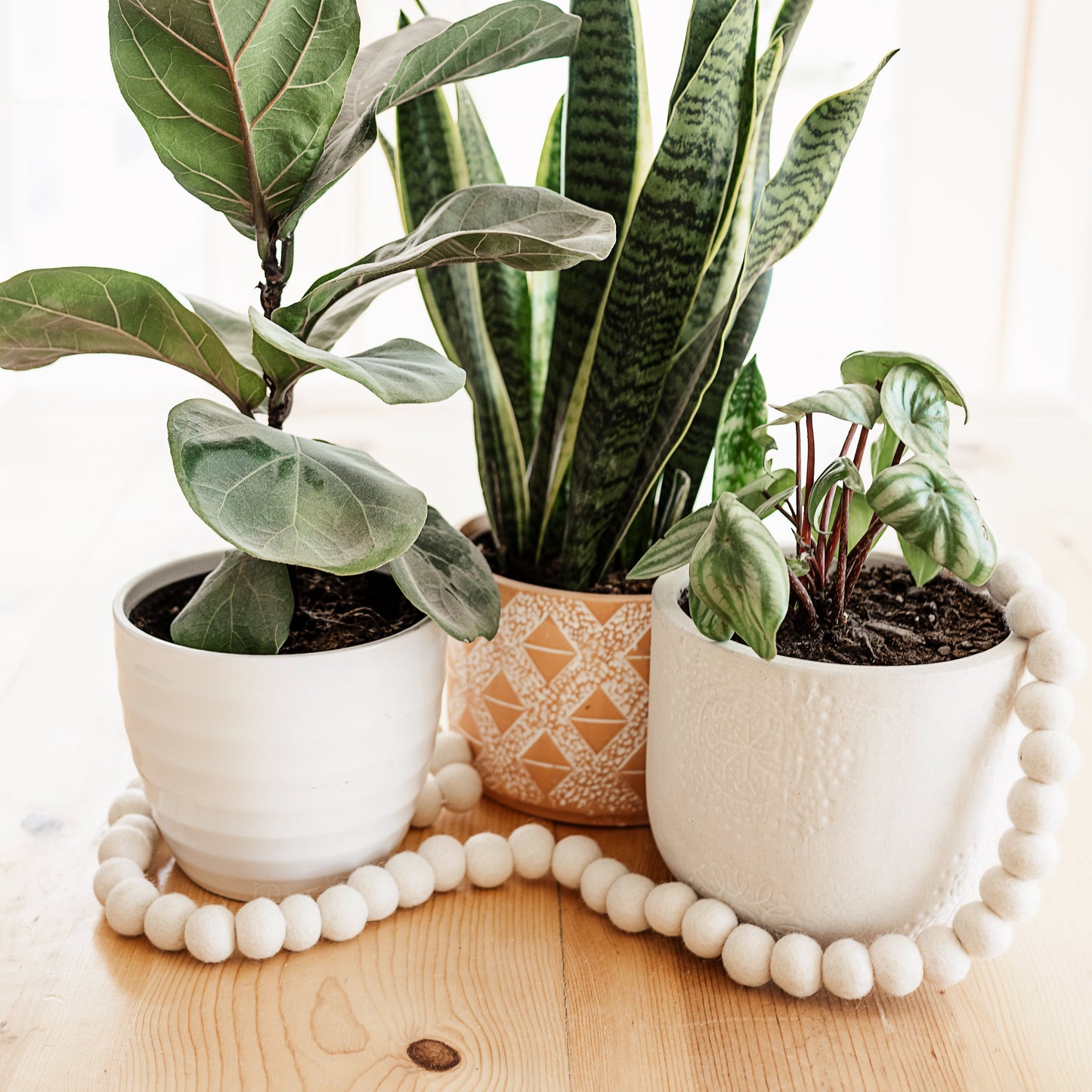 5.5' White Felt Ball Garland